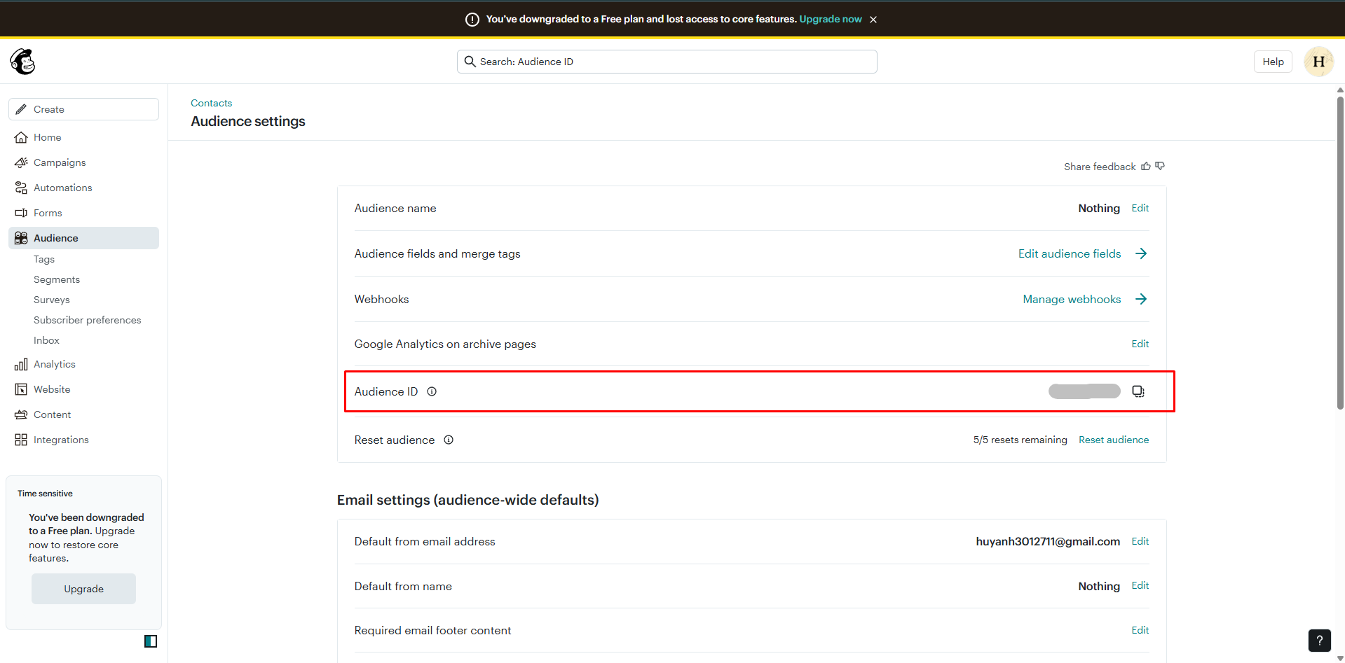 setup mailchimp